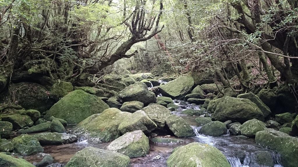 Maetakeso Hotel Yakushima  Exterior photo