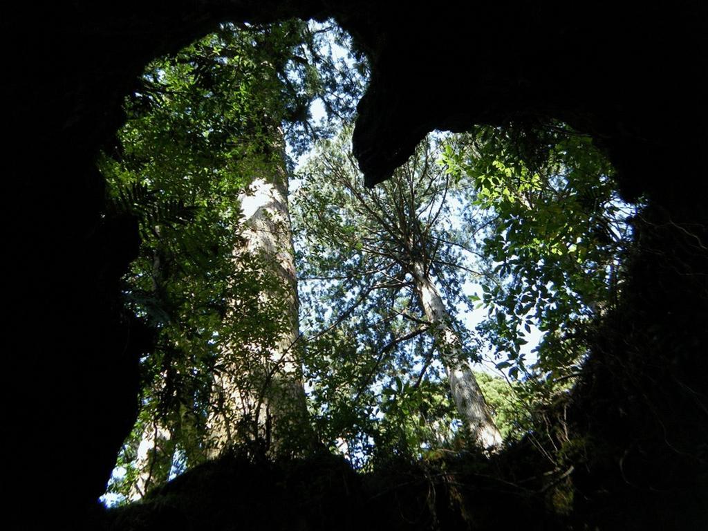 Maetakeso Hotel Yakushima  Exterior photo